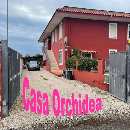 피우미치노 Casa Orchidea 아파트 외부 사진