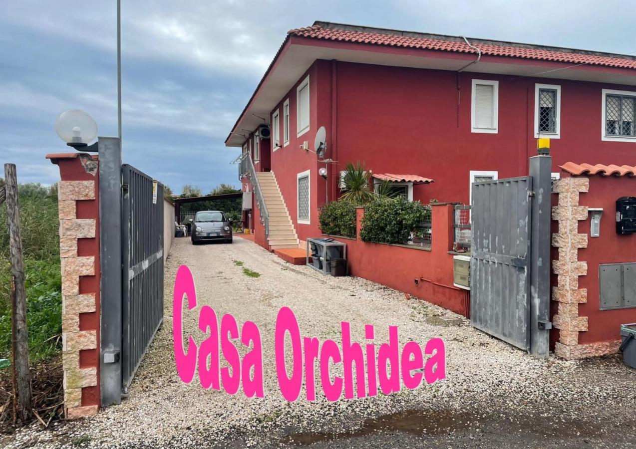 피우미치노 Casa Orchidea 아파트 외부 사진